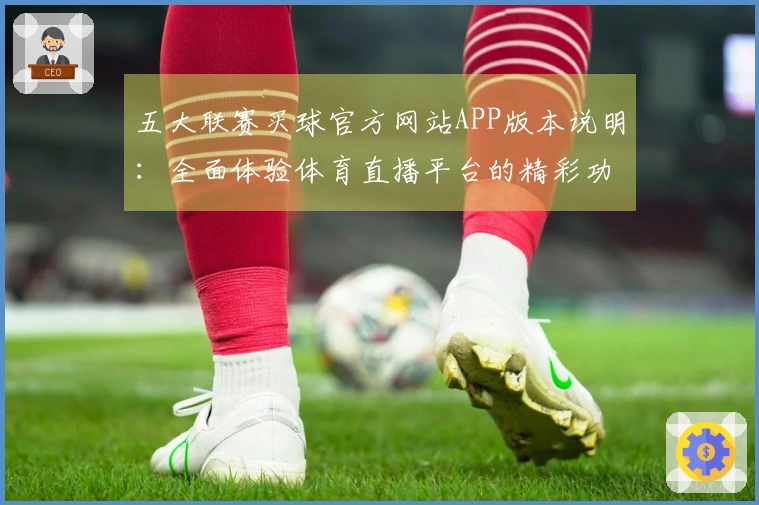 五大联赛买球官方网站APP版本说明：全面体验体育直播平台的精彩功能
