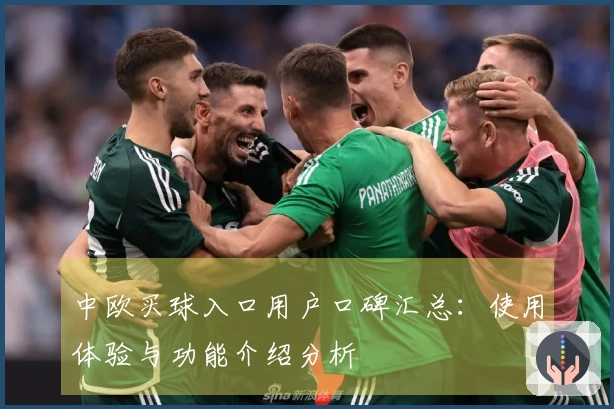 中欧买球入口用户口碑汇总：使用体验与功能介绍分析