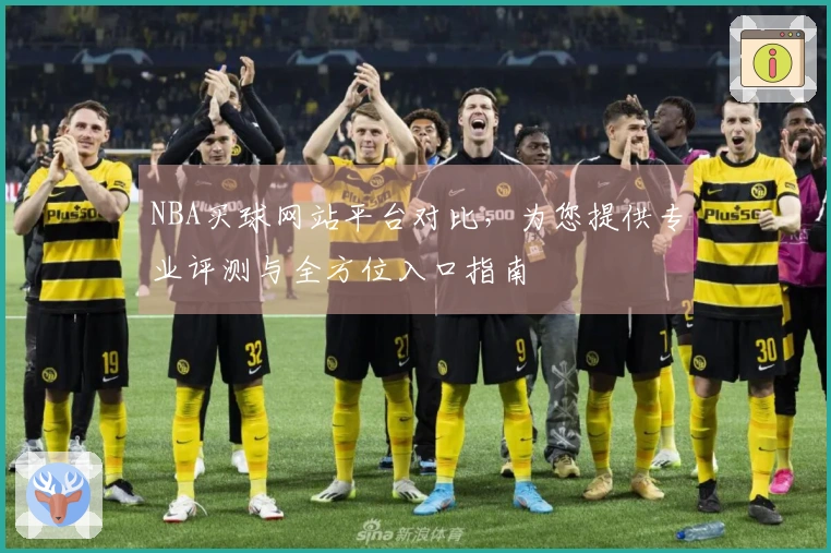 NBA买球网站平台对比，为您提供专业评测与全方位入口指南