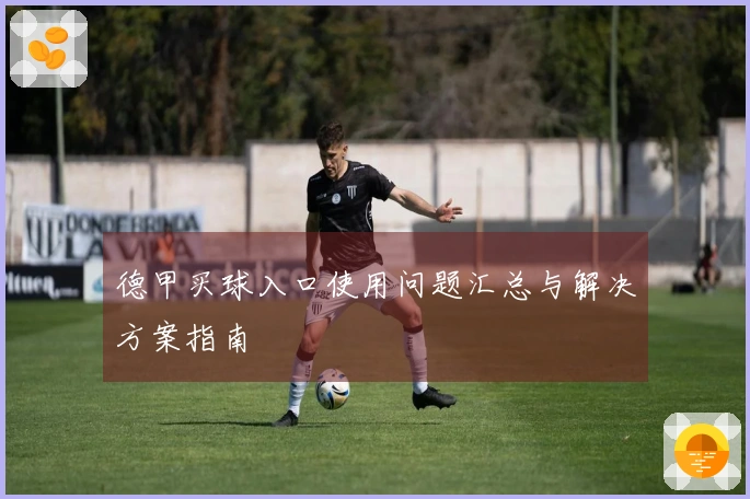 德甲买球入口使用问题汇总与解决方案指南